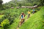 Enerverende mountainbike tochten in de bergen rond Chiang Mai